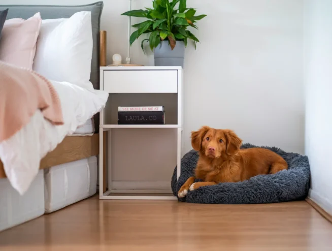 Simple everyday habits to keep floors looking beautiful